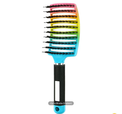 Bristle & Nylon Hair Brush